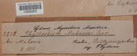Image Associated With the Occurence